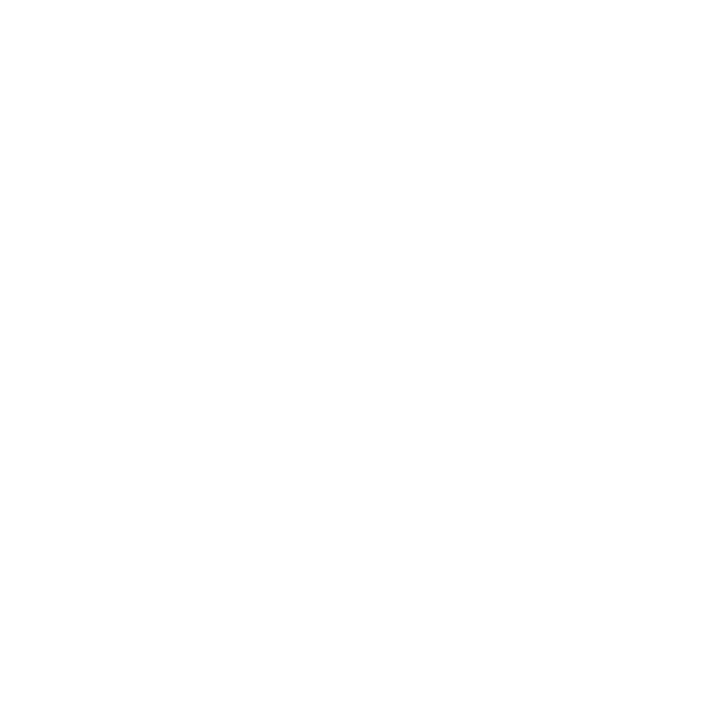 Good Fortune Silver