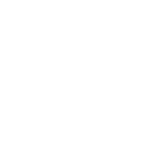 Good Fortune Silver